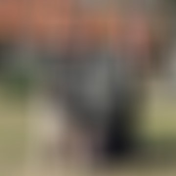 Tamás, 49 éves társkereső 3. fotója (Dömsöd, 3970600)