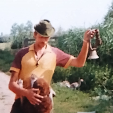 István, 59 éves társkereső profilképe (Hajdúszoboszló, 4267800)