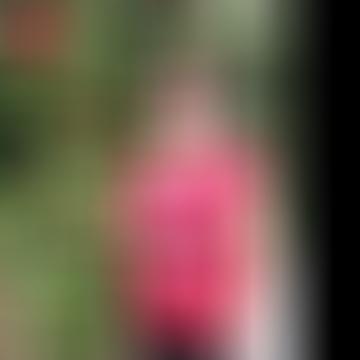 Erika, 40 éves társkereső 7. fotója (Pápa, 2946902)
