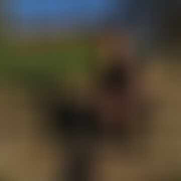 Bence, 21 éves társkereső 2. fotója (Győr, 4804402)