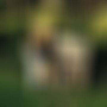 Ancsa, 61 éves társkereső 2. fotója (Nyíregyháza, 4251304)
