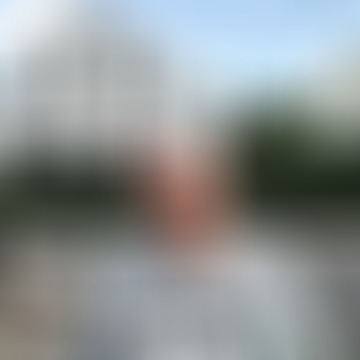 Mihály, 73 éves társkereső 2. fotója (Budapest, XIX., 4250005)