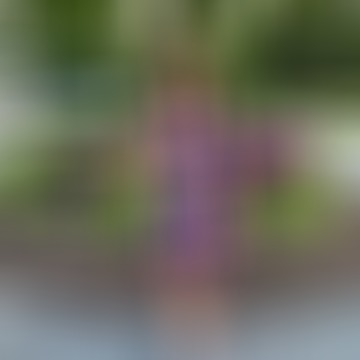 Emese, 61 éves társkereső 2. fotója (Burlington (Vermont, Amerikai Egyesült Államok), 483106)