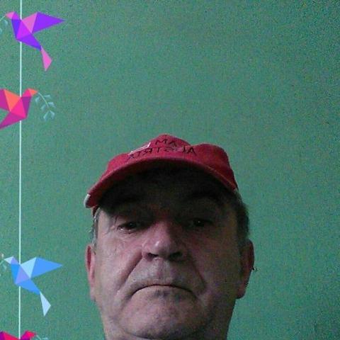 Gyula, 65 éves társkereső profilképe (Jánossomorja, 3517107)