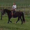Tamas, 50 éves társkereső 4. fotója (Székesfehérvár, 3298007)