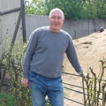 Tamás, 54 éves társkereső profilképe (Levelek, 4475308)