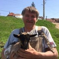 István, 63 éves társkereső 2. fotója (Pilisvörösvár, 4291210)