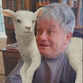 Zsolt, 59 éves társkereső 3. fotója (Taksony, 3739110)