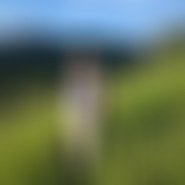 Jucó, 64 éves társkereső 4. fotója (Dorog, 4147511)