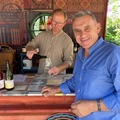 Miklós, 60 éves társkereső 3. fotója (Gasztony, 4442511)