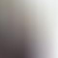 Szilvi, 53 éves társkereső 2. fotója (Sopron, 3602412)
