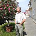 Lajos, 74 éves társkereső 4. fotója (Pápa, 3354912)
