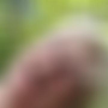 Lilla, 63 éves társkereső 4. fotója (Tata, 3436213)