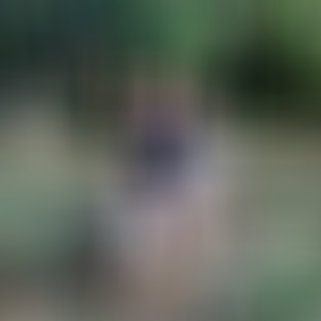 Veronika, 52 éves társkereső 6. fotója (Sopron, 4390113)