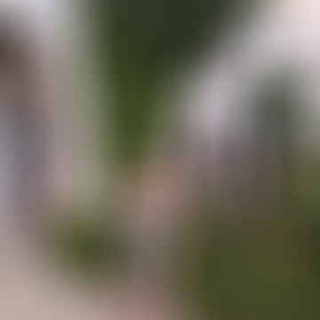 Böbe, 66 éves társkereső 3. fotója (Kecskemét, 4760213)