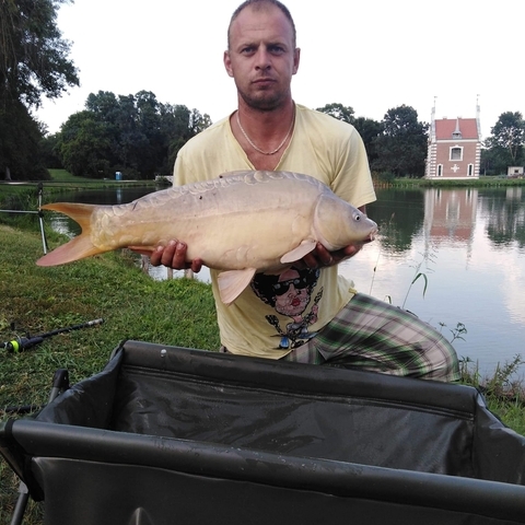 István, 31 éves társkereső férfi - Zichyújfalu