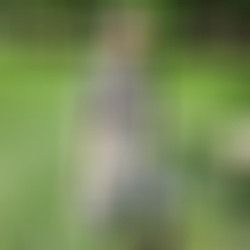 Bence, 35 éves társkereső 3. fotója (Budapest, 4540915)