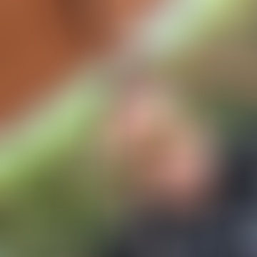 Viktor, 44 éves társkereső 6. fotója (Székesfehérvár, 4763016)