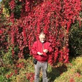 Viktor, 76 éves társkereső 3. fotója (Németország, 3880217)