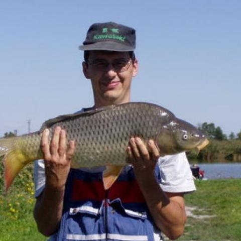 András, 47 éves társkereső profilképe (Veszprém, 851717)