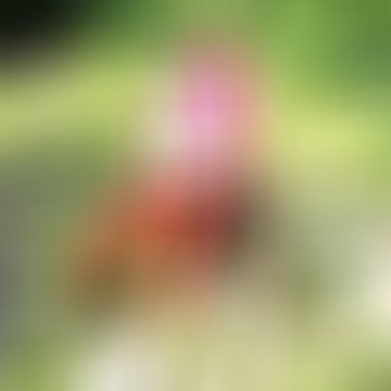 Julianna, 75 éves társkereső 3. fotója (Gyula, 4635619)