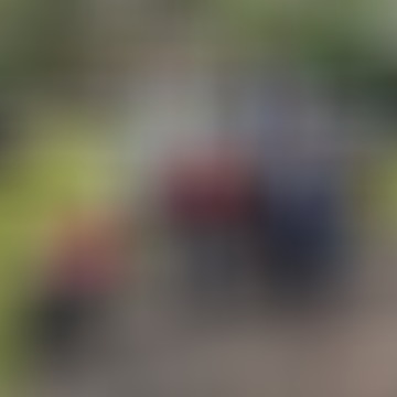 Imi, 59 éves társkereső 3. fotója (Tatabánya, 4698019)