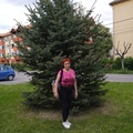 Katalin, 64 éves társkereső 5. fotója (Székelyudvarhely (Hargita, Románia), 3590021)
