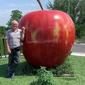 Ferenc, 71 éves társkereső 3. fotója (Fót, 3454621)