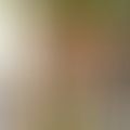 Ági, 68 éves társkereső 4. fotója (Budapest, V., 4080222)