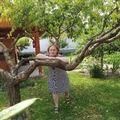 Mária, 62 éves társkereső 4. fotója (Budapest, XXI., 4043822)