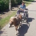 Zsolti, 23 éves társkereső 5. fotója (Tomajmonostora, 4414323)