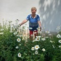 Judit, 65 éves társkereső 4. fotója (Miskolc, 4268423)