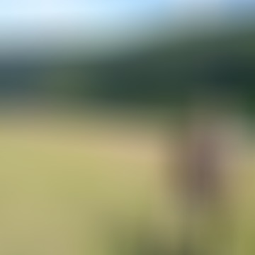 Zoli, 69 éves társkereső 2. fotója (Enese, 4396723)