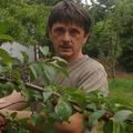 Csaba, 58 éves társkereső 2. fotója (Érd, 3629723)