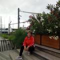 Ida, 63 éves társkereső 4. fotója (Vámosújfalu, 3523824)