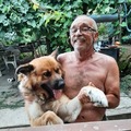 Péter, 61 éves társkereső 2. fotója (Biatorbágy, 3787727)
