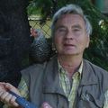 András, 61 éves társkereső profilképe (Ráckeve, 3906028)