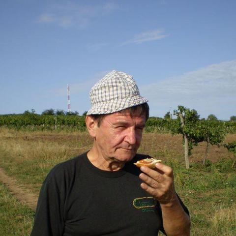 Sándor, 72 éves társkereső férfi - Nyíregyháza