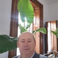 László, 61 éves társkereső 2. fotója (Dunaharaszti, 3107631)