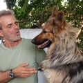 Csaba, 56 éves társkereső 4. fotója (Szigethalom, 4706731)