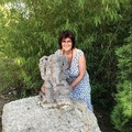 Katalin, 61 éves társkereső 3. fotója (Tatabánya, 4049632)