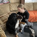 Benji, 29 éves társkereső 2. fotója (Göd, 4330832)