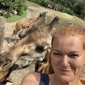 Gabi, 49 éves társkereső 5. fotója (Szada, 4358032)