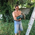 Tamás, 59 éves társkereső profilképe (Zsámbok, 4693933)