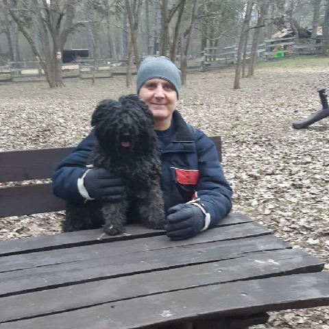 GYÖRGY, 53 éves társkereső férfi - Tököl