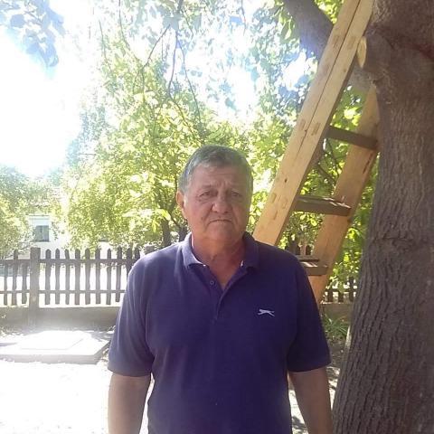 István, 71 éves társkereső profilképe (Sarkad, 3263733)