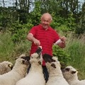 János, 63 éves társkereső 2. fotója (Körmend, 4370433)