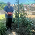 István, 75 éves társkereső 2. fotója (Vértesszőlős, 4436634)