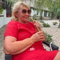 Katalin, 68 éves társkereső 4. fotója (Velence, 4481835)