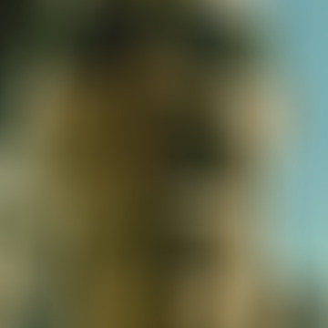 Bence, 45 éves társkereső 2. fotója (Budapest, 4728539)